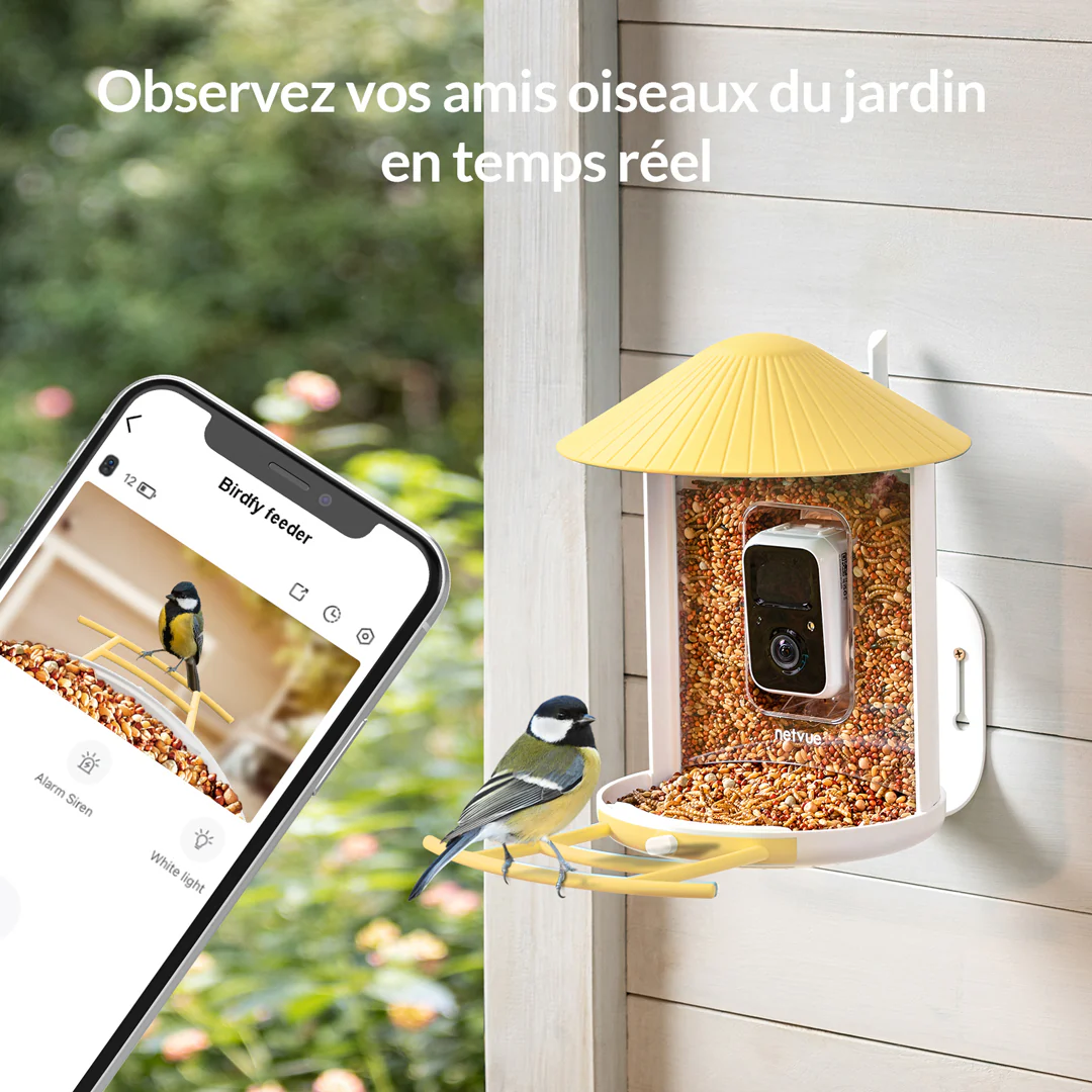 mangeoireoiseauxsurpied_60a9b6b0-a30e-4e7a-a14b-075ac99a5b82.webp